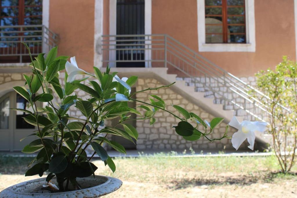 La Provencale Appartement Uzès Buitenkant foto
